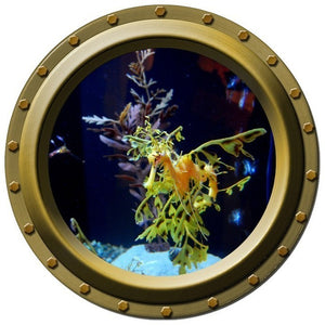 The Sea Dragon Watches You Porthole Wall Decal