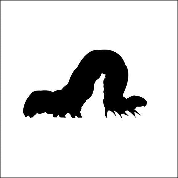 Inchworm Vinyl Decal - 5.5" wide by 3" tall