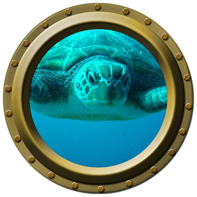 Close Up Sea Turtle Porthole Wall Decal