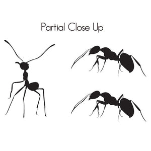 8 Ants and 3 Ant Hill Vinyl Wall Decal Set