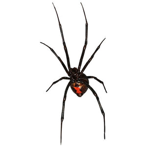 Black Widow Spider Decal Design 1 - 5.5" wide x 10" tall