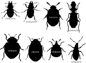 Beetle Mania Decal Collection - 18 different Beetle Decals