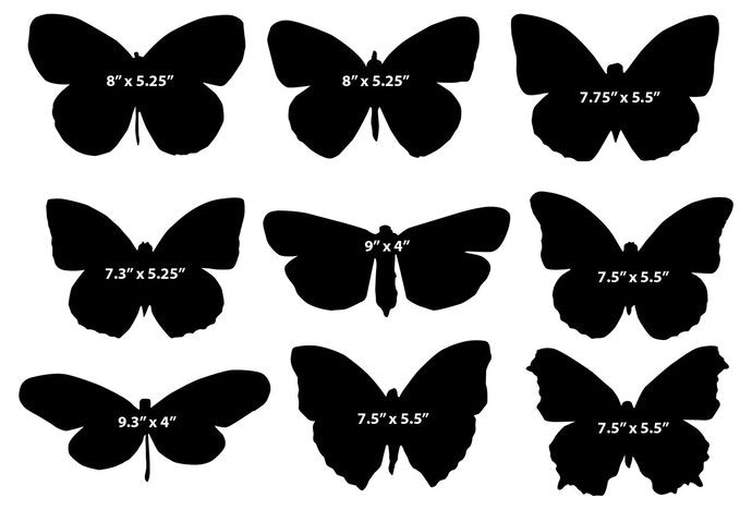 9 Fiery Moth Wall Decals- Sizes Shown in Last Example Image